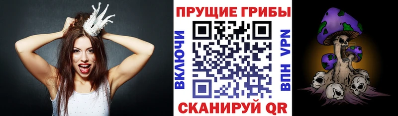 Псилоцибиновые грибы Cubensis  Лосино-Петровский 
