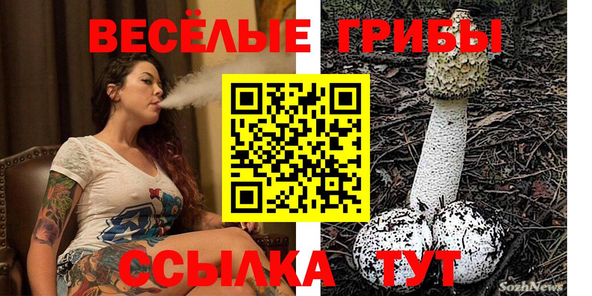 Псилоцибиновые грибы Psilocybine cubensis  Вход с VPN  Лосино-Петровский 