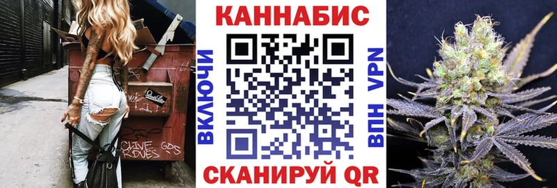 Конопля гибрид закладки Лосино-Петровский